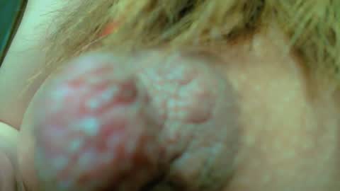 Nayaa Nay 3 online show from January 24, 2025, 8:11 pm