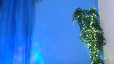 EsteticHouse online show from March 10, 2026, 2:55 pm