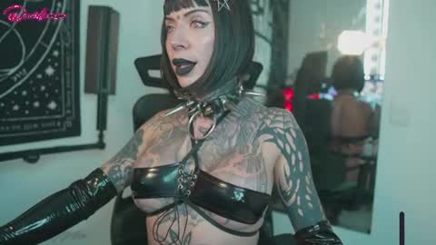 Snapshot of punkyfoxx chatting on August 1, 2026, 9:35 pm punkyfoxx online show from August 1, 2026, 9:35 pm