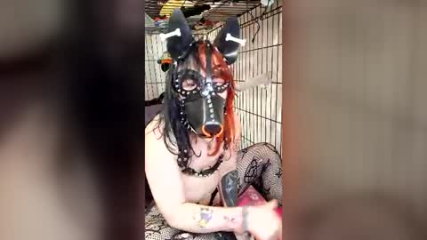 Pup Maxie HeHim online show from July 31, 2026, 6:29 pm