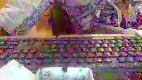 pup_y online show from December 20, 2025, 8:10 am