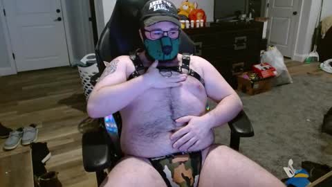 Maine Bear Cub online show from February 11, 2025, 4:33 am