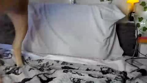 Rhys online show from February 2, 2025, 2:38 am