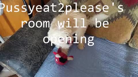 Rick online show from February 11, 2025, 7:54 am