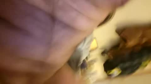 pussylike696969 online show from December 6, 2024, 9:21 am