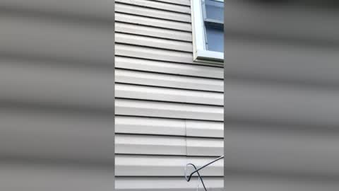 Snapshot of pyrex8 chatting on April 11, 2026, 11:36 am pyrex8 online show from April 11, 2026, 11:36 am