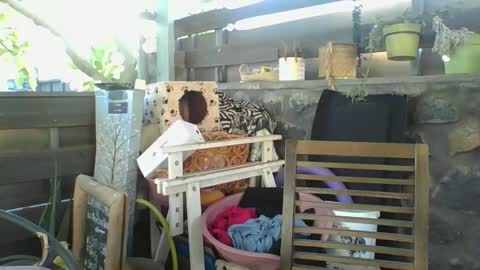 Snapshot of python974 chatting on January 2, 2025, 2:33 am Python online show from January 2, 2025, 2:33 am