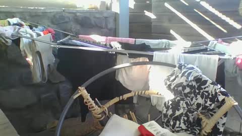 Snapshot of python974 chatting on January 10, 2025, 2:57 am Python online show from January 10, 2025, 2:57 am