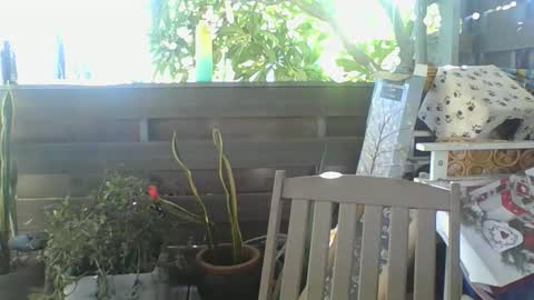 Snapshot of python974 chatting on February 2, 2025, 4:05 am Python online show from February 2, 2025, 4:05 am