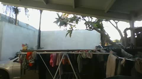 Snapshot of python974 chatting on October 9, 2025, 2:42 am Python online show from October 9, 2025, 2:42 am