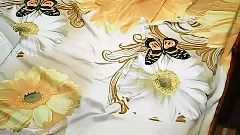 Snapshot of queen_ava05 chatting on July 2, 2026, 7:20 pm queen_ava05 online show from July 2, 2026, 7:20 pm