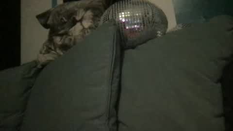 Queen De La Ranch online show from September 20, 2025, 7:04 pm