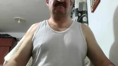 Snapshot of querubinrebelde chatting on June 3, 2026, 1:08 am Don Ramon online show from June 3, 2026, 1:08 am