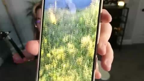 Bri online show from November 17, 2025, 3:34 am