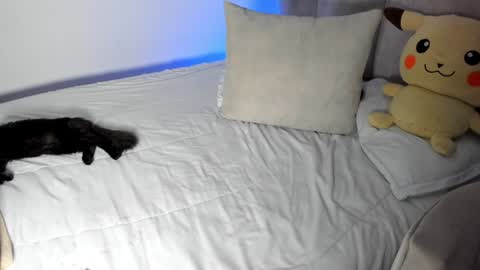 Snapshot of rachaeldeckard chatting on January 28, 2025, 9:30 am natalia - online show from January 28, 2025, 9:30 am