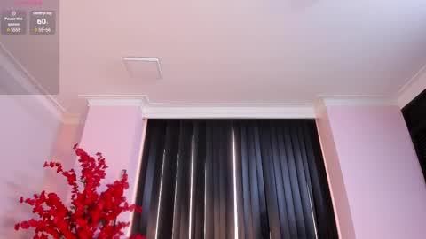 Rachel online show from February 12, 2025, 11:51 am