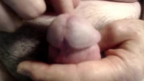 Snapshot of ragin_hardon001 chatting on November 6, 2025, 1:45 pm Ray online show from November 6, 2025, 1:45 pm