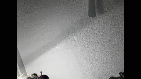 Snapshot of ramonajas chatting on February 21, 2025, 4:51 am RamonaJ online show from February 21, 2025, 4:51 am