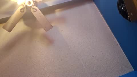 Randcandy77 online show from November 11, 2025, 4:51 pm