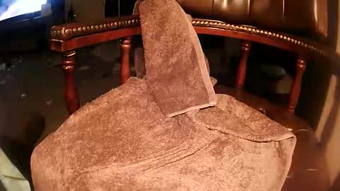 rarvet online show from March 19, 2026, 3:16 pm