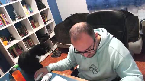 ravingr3d3 online show from November 17, 2025, 9:04 am