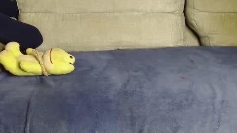 Ray  online show from March 14, 2026, 10:53 am