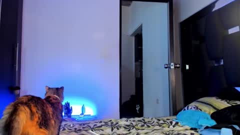 Snapshot of raydevil_ chatting on September 28, 2025, 9:42 pm Rayn online show from September 28, 2025, 9:42 pm