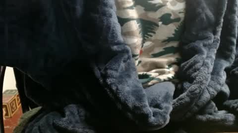 Ray online show from January 7, 2025, 12:34 am