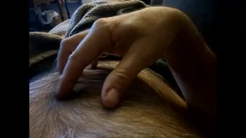 Snapshot of rdt2030 chatting on December 8, 2024, 7:54 pm rdt2030 online show from December 8, 2024, 7:54 pm