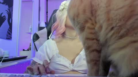 Rea    online show from April 4, 2026, 11:13 pm