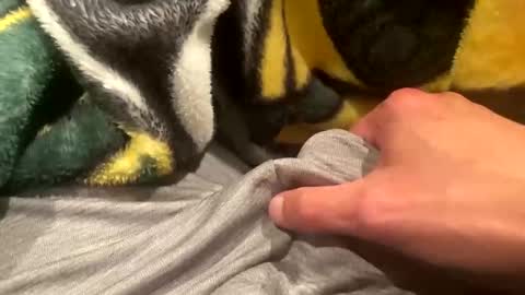 realbigload77 online show from September 20, 2025, 2:23 am