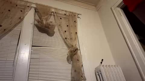 Snapshot of realdrewreynolds chatting on December 11, 2024, 5:53 am tranzGODess online show from December 11, 2024, 5:53 am