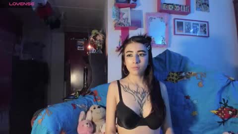 Rebecca online show from February 12, 2026, 3:01 am