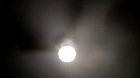 Snapshot of red24devils chatting on January 15, 2025, 5:29 am red24devils online show from January 15, 2025, 5:29 am