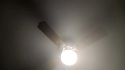 Snapshot of red24devils chatting on February 14, 2025, 4:26 am red24devils online show from February 14, 2025, 4:26 am