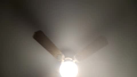 Snapshot of red24devils chatting on March 12, 2025, 5:13 am red24devils online show from March 12, 2025, 5:13 am