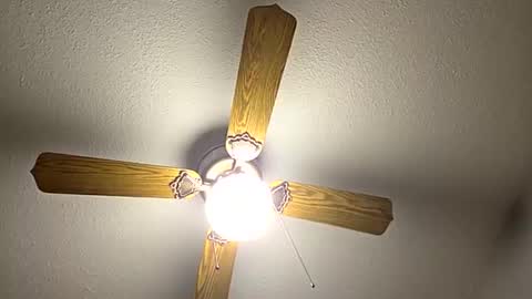 Snapshot of red24devils chatting on September 12, 2025, 12:11 am red24devils online show from September 12, 2025, 12:11 am