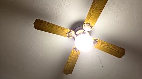 Snapshot of red24devils chatting on September 22, 2025, 6:59 am red24devils online show from September 22, 2025, 6:59 am