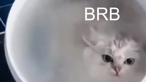 Snapshot of red_queeen chatting on January 10, 2025, 12:17 am QUEEN OF EVIL online show from January 10, 2025, 12:17 am