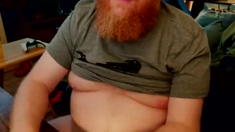 red_sea_bear online show from February 14, 2026, 7:05 am