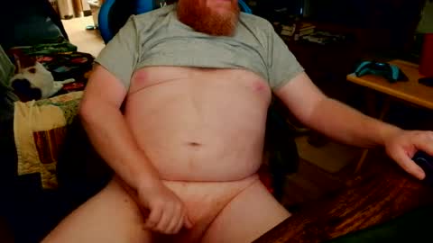 red_sea_bear online show from July 11, 2026, 12:30 pm