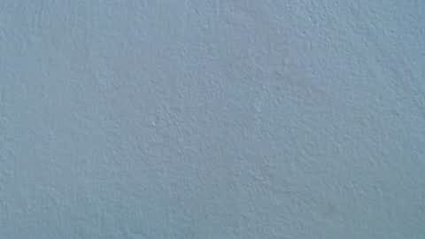 Rose  Dariah online show from July 20, 2026, 2:08 pm