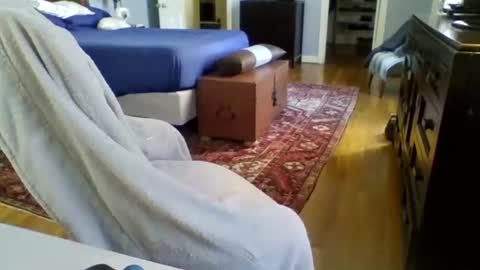 Snapshot of regularguynola chatting on January 24, 2025, 6:14 pm RegularGuyNOLA online show from January 24, 2025, 6:14 pm