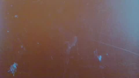 Snapshot of reina_paola chatting on January 29, 2025, 6:22 am paola online show from January 29, 2025, 6:22 am