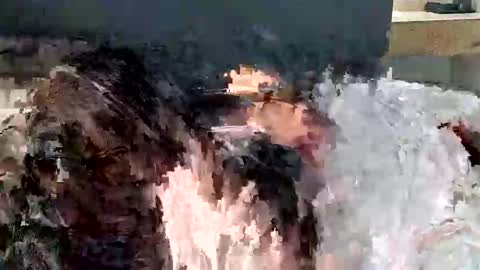 renaexx03 online show from September 28, 2025, 2:28 am