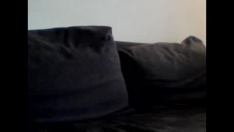 Shaved cock ready online show from December 12, 2024, 7:41 am