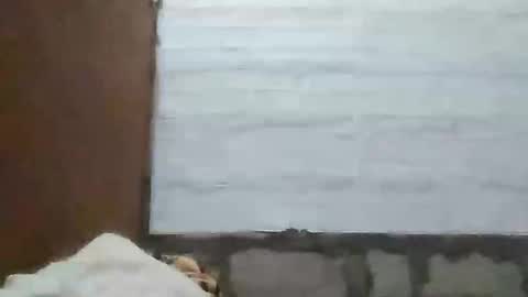 Snapshot of richebelle chatting on May 10, 2026, 12:10 pm richebelle online show from May 10, 2026, 12:10 pm