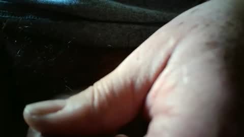 Always crusing cams online show from April 30, 2026, 2:23 pm