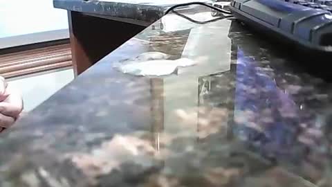 rigellan2021 online show from October 1, 2025, 2:45 pm