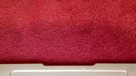 Snapshot of rimalovar chatting on October 25, 2025, 6:32 am rimalova online show from October 25, 2025, 6:32 am